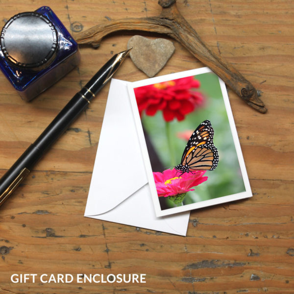 Monarch and Zinnias